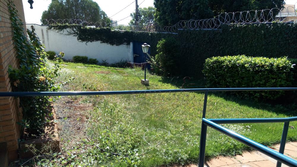 Alugar Casas / Padrão em Ribeirão Preto apenas R$ 4.000,00 - Foto 37 Alugar Casas / Padrão em Ribeirão Preto apenas R$ 4.000,00 - Foto 37