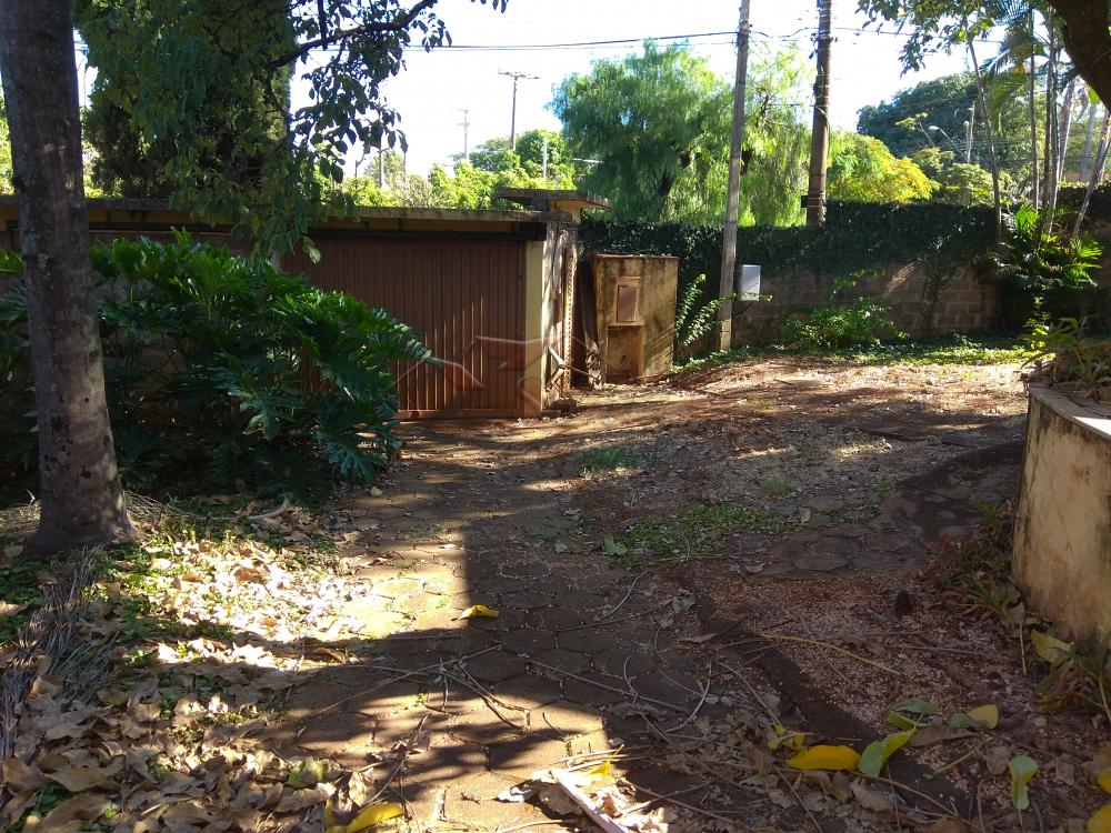 Alugar Casas / Padrão em Ribeirão Preto apenas R$ 3.500,00 - Foto 4 Alugar Casas / Padrão em Ribeirão Preto apenas R$ 3.500,00 - Foto 4