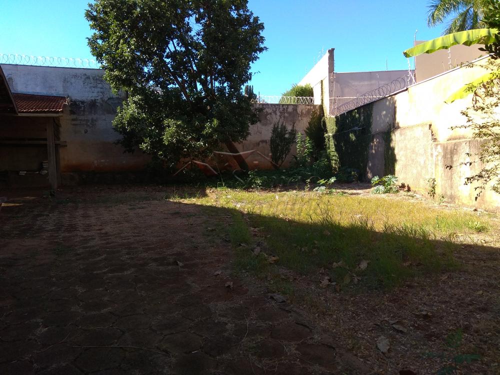 Alugar Casas / Padrão em Ribeirão Preto apenas R$ 3.500,00 - Foto 6 Alugar Casas / Padrão em Ribeirão Preto apenas R$ 3.500,00 - Foto 6