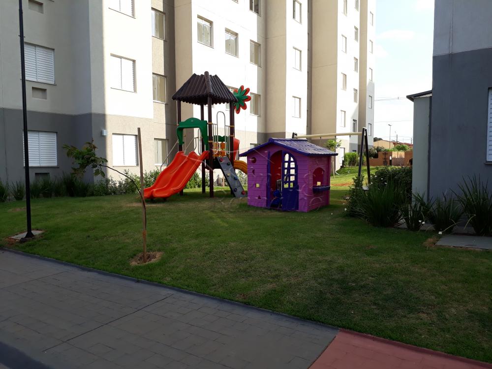 Alugar Apartamentos / Padrão em Ribeirão Preto apenas R$ 800,00 - Foto 16 Alugar Apartamentos / Padrão em Ribeirão Preto apenas R$ 800,00 - Foto 16