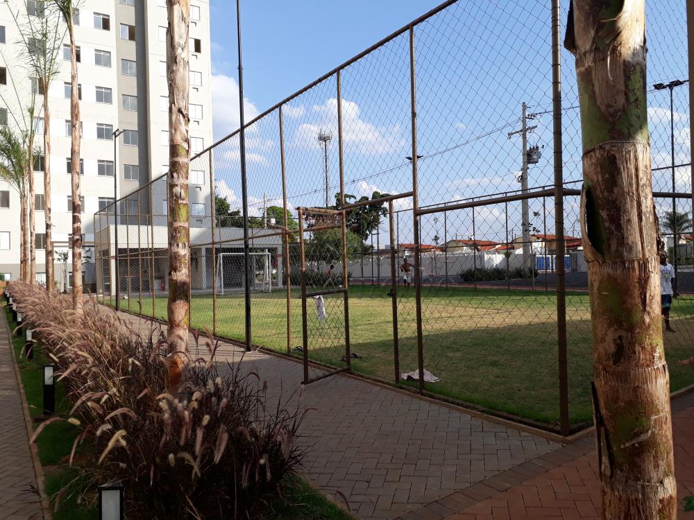 Alugar Apartamentos / Padrão em Ribeirão Preto apenas R$ 800,00 - Foto 20 Alugar Apartamentos / Padrão em Ribeirão Preto apenas R$ 800,00 - Foto 20