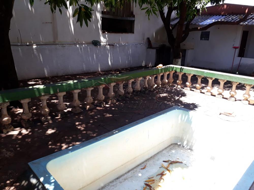 Alugar Casas / Padrão em Ribeirão Preto apenas R$ 1.300,00 - Foto 4 Alugar Casas / Padrão em Ribeirão Preto apenas R$ 1.300,00 - Foto 4