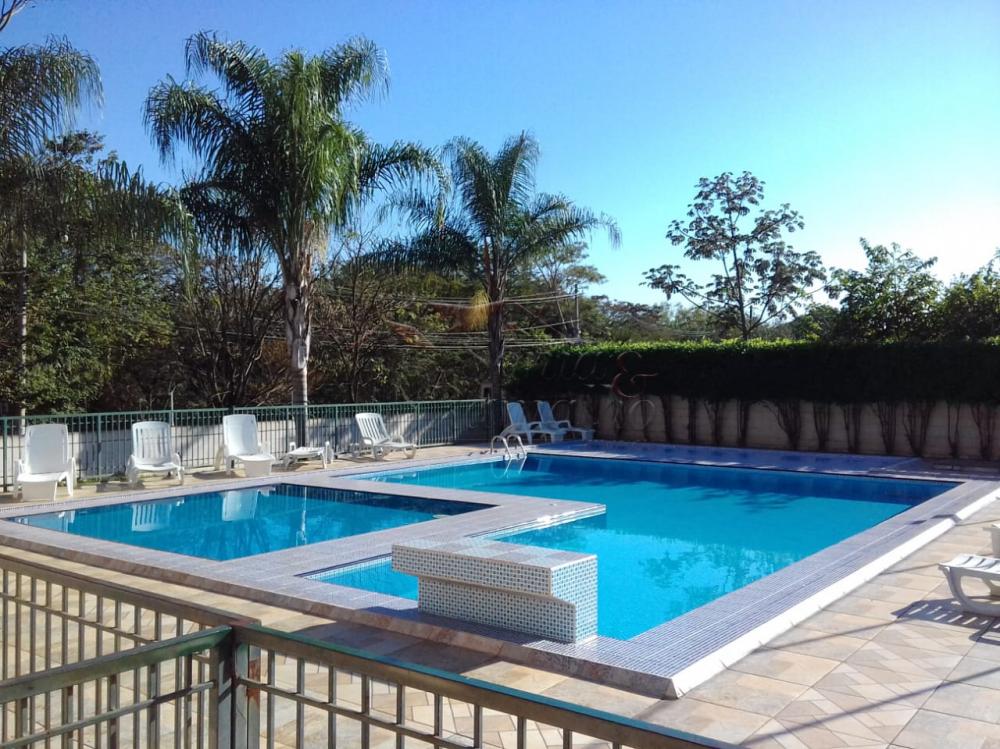 Alugar Apartamentos / Padrão em Ribeirão Preto apenas R$ 450,00 - Foto 1 Alugar Apartamentos / Padrão em Ribeirão Preto apenas R$ 450,00 - Foto 1