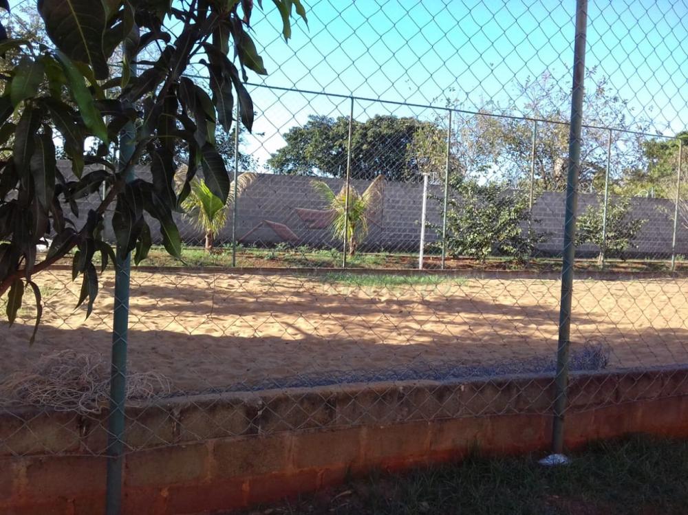 Alugar Apartamentos / Padrão em Ribeirão Preto apenas R$ 450,00 - Foto 18 Alugar Apartamentos / Padrão em Ribeirão Preto apenas R$ 450,00 - Foto 18