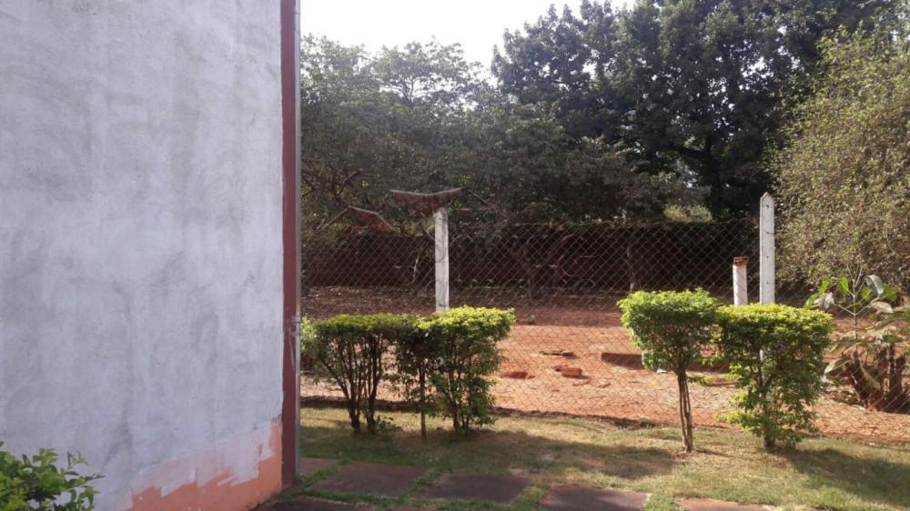 Alugar Casas / Chácara em Ribeirão Preto apenas R$ 4.000,00 - Foto 14 Alugar Casas / Chácara em Ribeirão Preto apenas R$ 4.000,00 - Foto 14