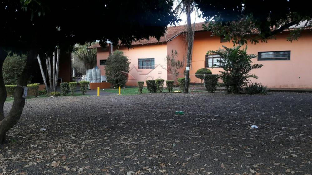 Alugar Casas / Chácara em Ribeirão Preto apenas R$ 4.000,00 - Foto 19 Alugar Casas / Chácara em Ribeirão Preto apenas R$ 4.000,00 - Foto 19