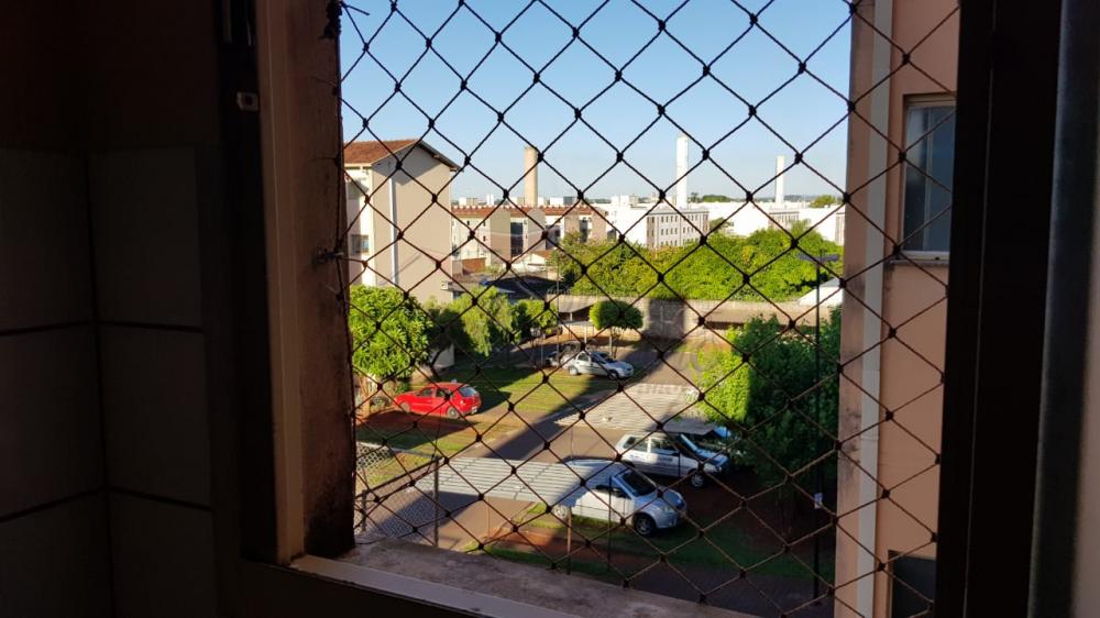 Comprar Apartamentos / Padrão em Ribeirão Preto apenas R$ 110.000,00 - Foto 19 Comprar Apartamentos / Padrão em Ribeirão Preto apenas R$ 110.000,00 - Foto 19