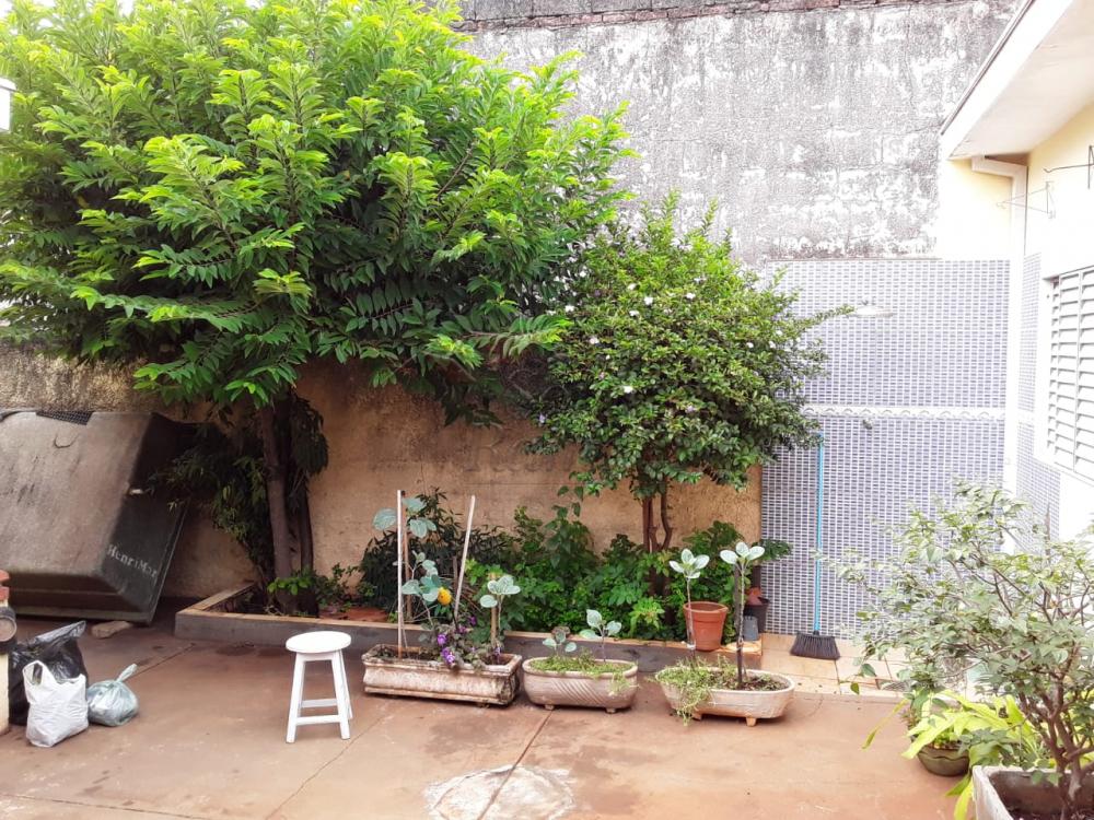 Alugar Casas / Padrão em Ribeirão Preto apenas R$ 1.500,00 - Foto 24 Alugar Casas / Padrão em Ribeirão Preto apenas R$ 1.500,00 - Foto 24