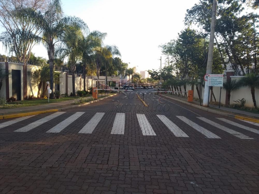Alugar Apartamentos / Padrão em Ribeirão Preto apenas R$ 900,00 - Foto 1 Alugar Apartamentos / Padrão em Ribeirão Preto apenas R$ 900,00 - Foto 1