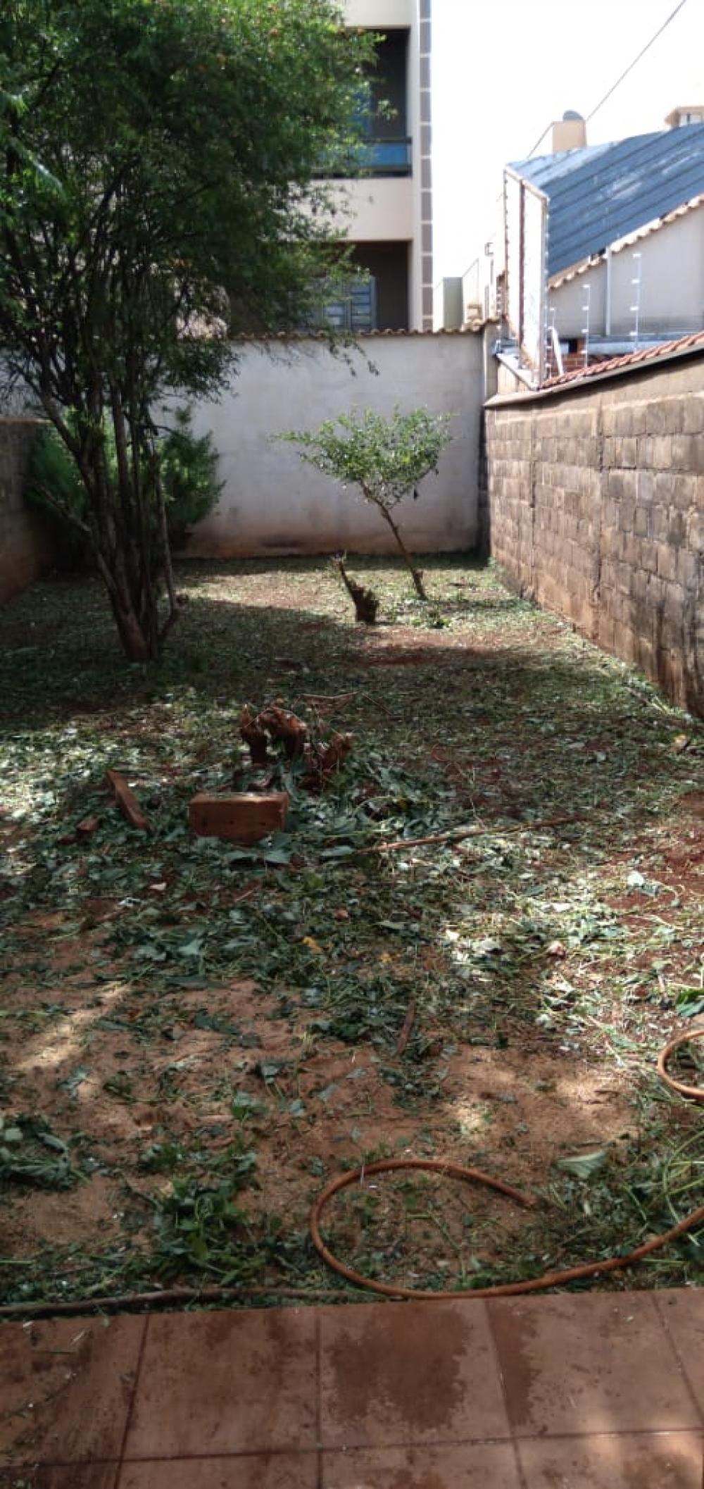 Alugar Casas / Padrão em Ribeirão Preto apenas R$ 1.300,00 - Foto 15 Alugar Casas / Padrão em Ribeirão Preto apenas R$ 1.300,00 - Foto 15