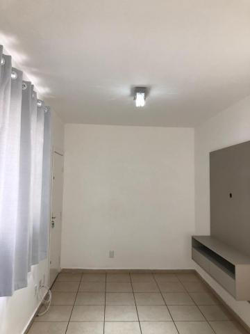 Sertaozinho Jardim Veneto Apartamento Locacao R$ 150.000,00 Condominio R$232,88 2 Dormitorios 1 Vaga Sertaozinho Jardim Veneto Apartamento Locacao R$ 150.000,00 Condominio R$232,88 2 Dormitorios 1 Vaga