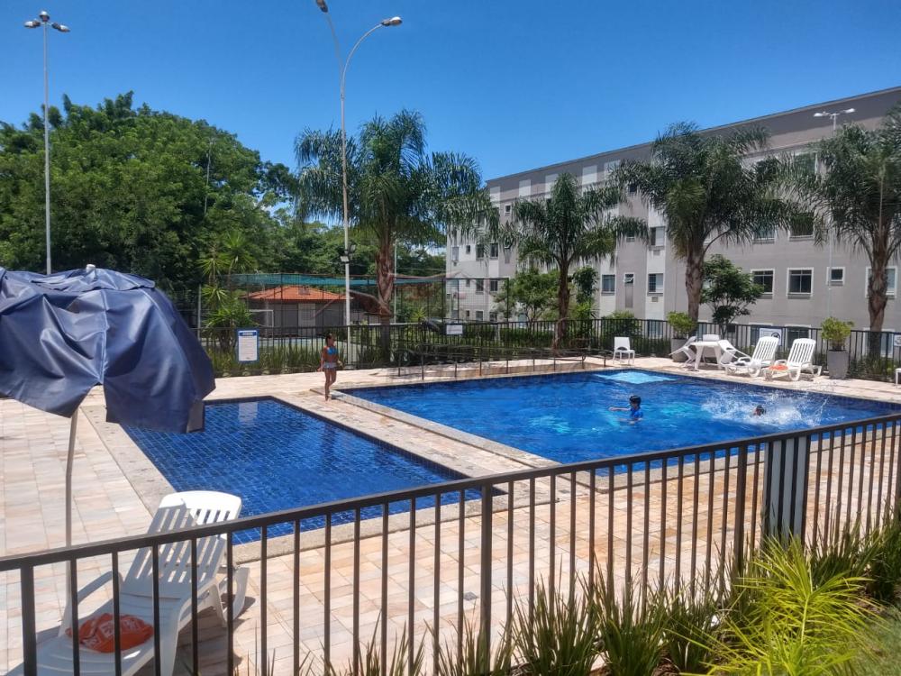Alugar Apartamentos / Padrão em Ribeirão Preto R$ 650,00 - Foto 1