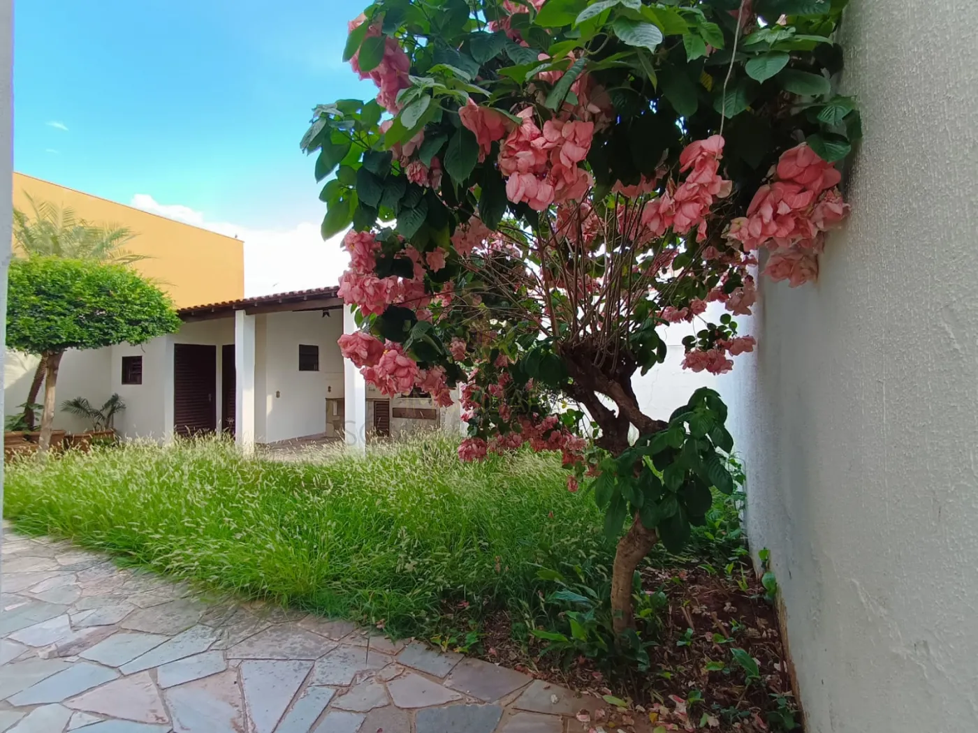 Alugar Casas Residenciais / Padrão em Ribeirão Preto R$ 4.500,00 - Foto 33
