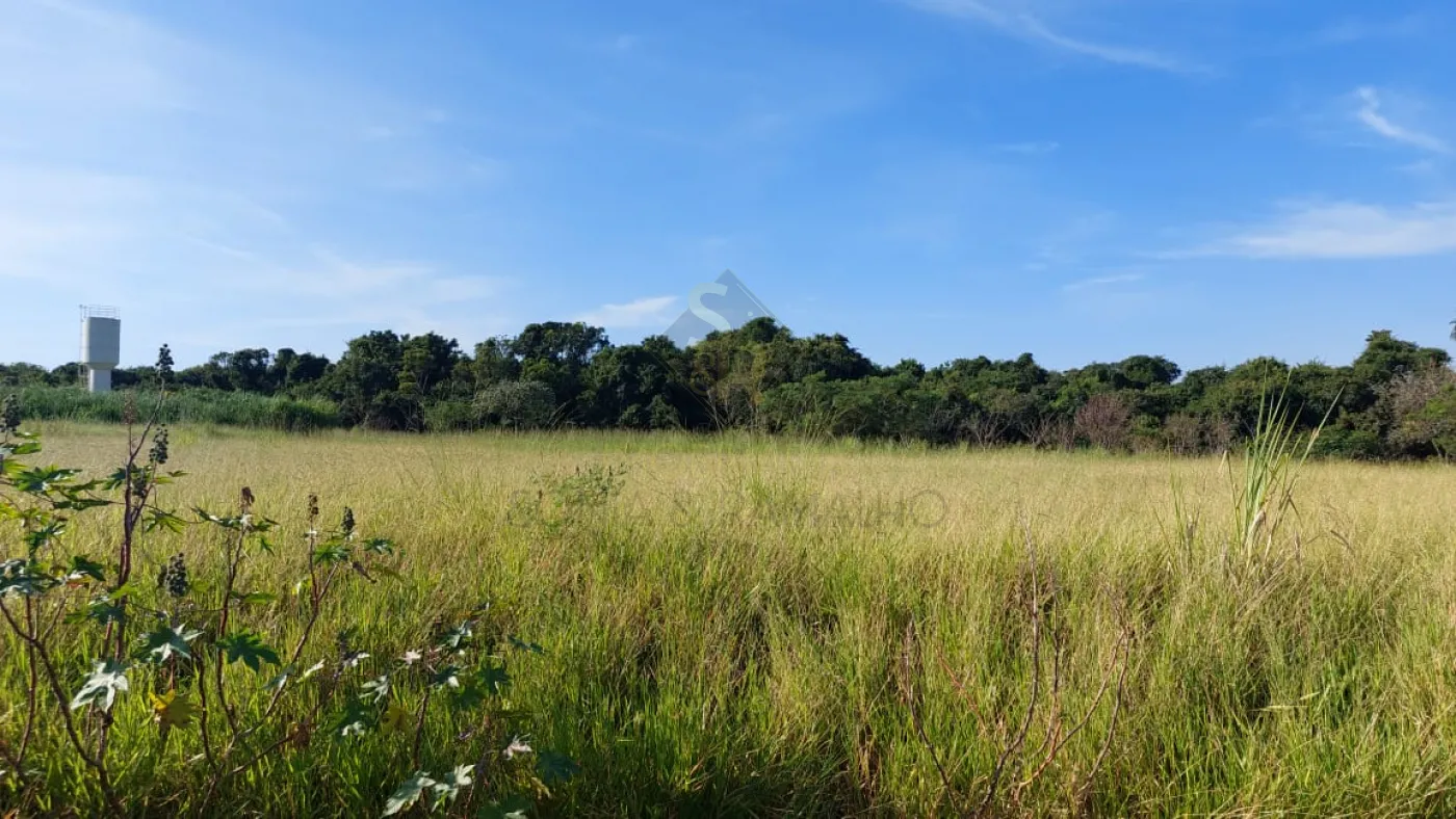 Comprar Terrenos / LoteTerreno em Brodowski R$ 210.000,00 - Foto 4