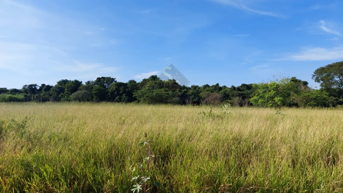 Comprar Terrenos / LoteTerreno em Brodowski R$ 210.000,00 - Foto 6