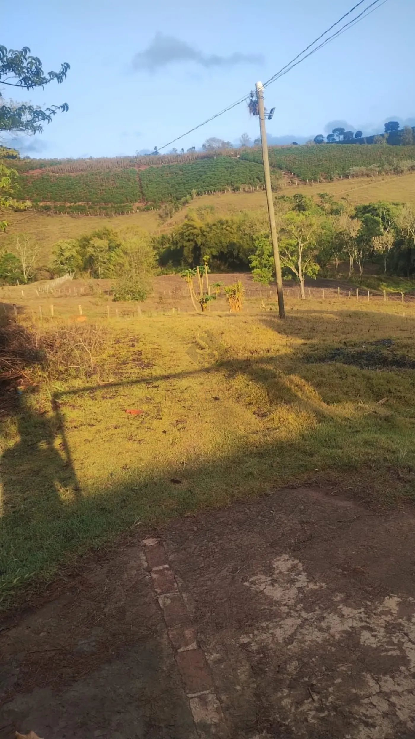 Comprar Chácaras/Imóveis Rurais / RanchoSítio em Monte Belo R$ 450.000,00 - Foto 18