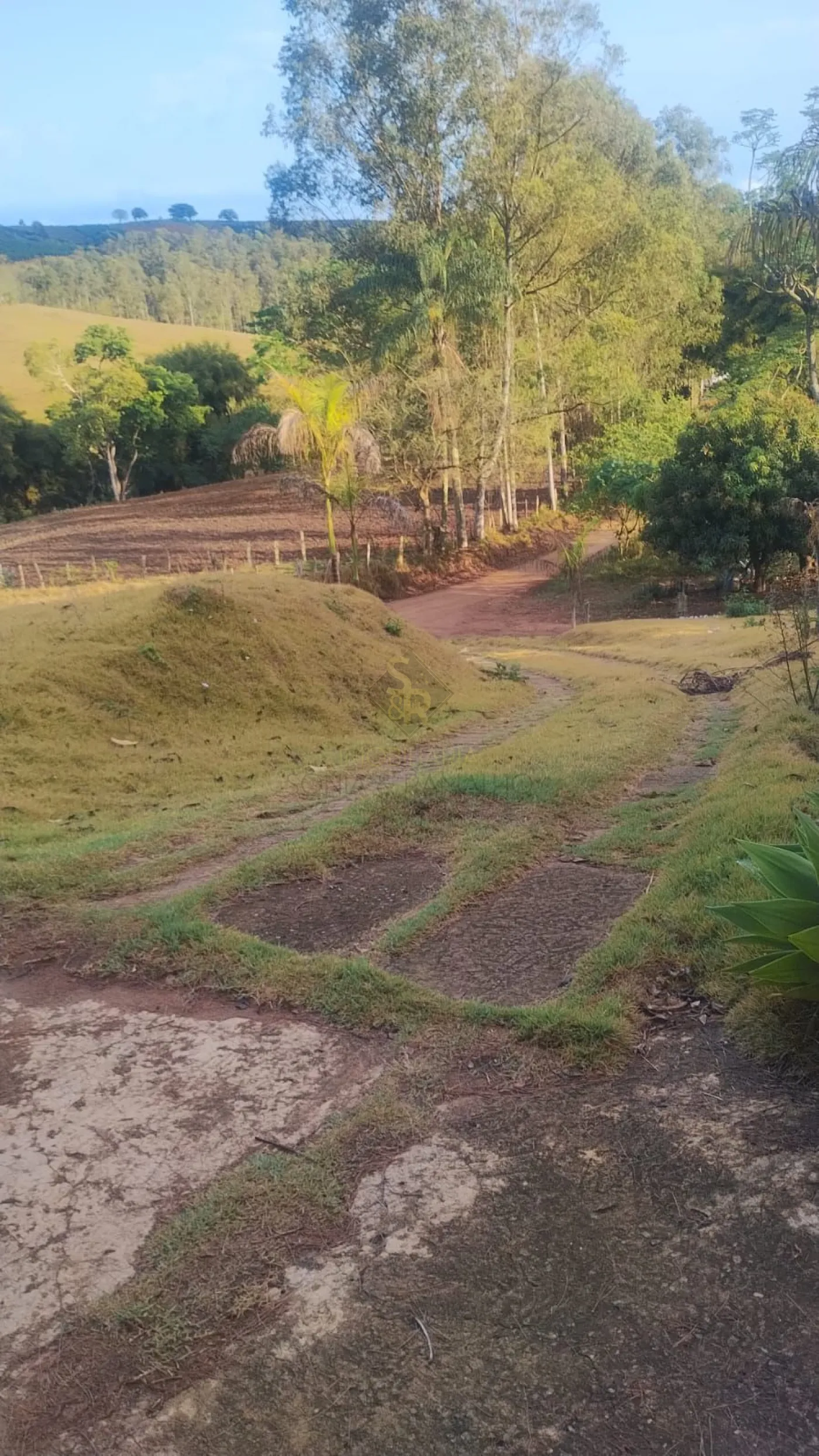 Comprar Chácaras/Imóveis Rurais / RanchoSítio em Monte Belo R$ 450.000,00 - Foto 19