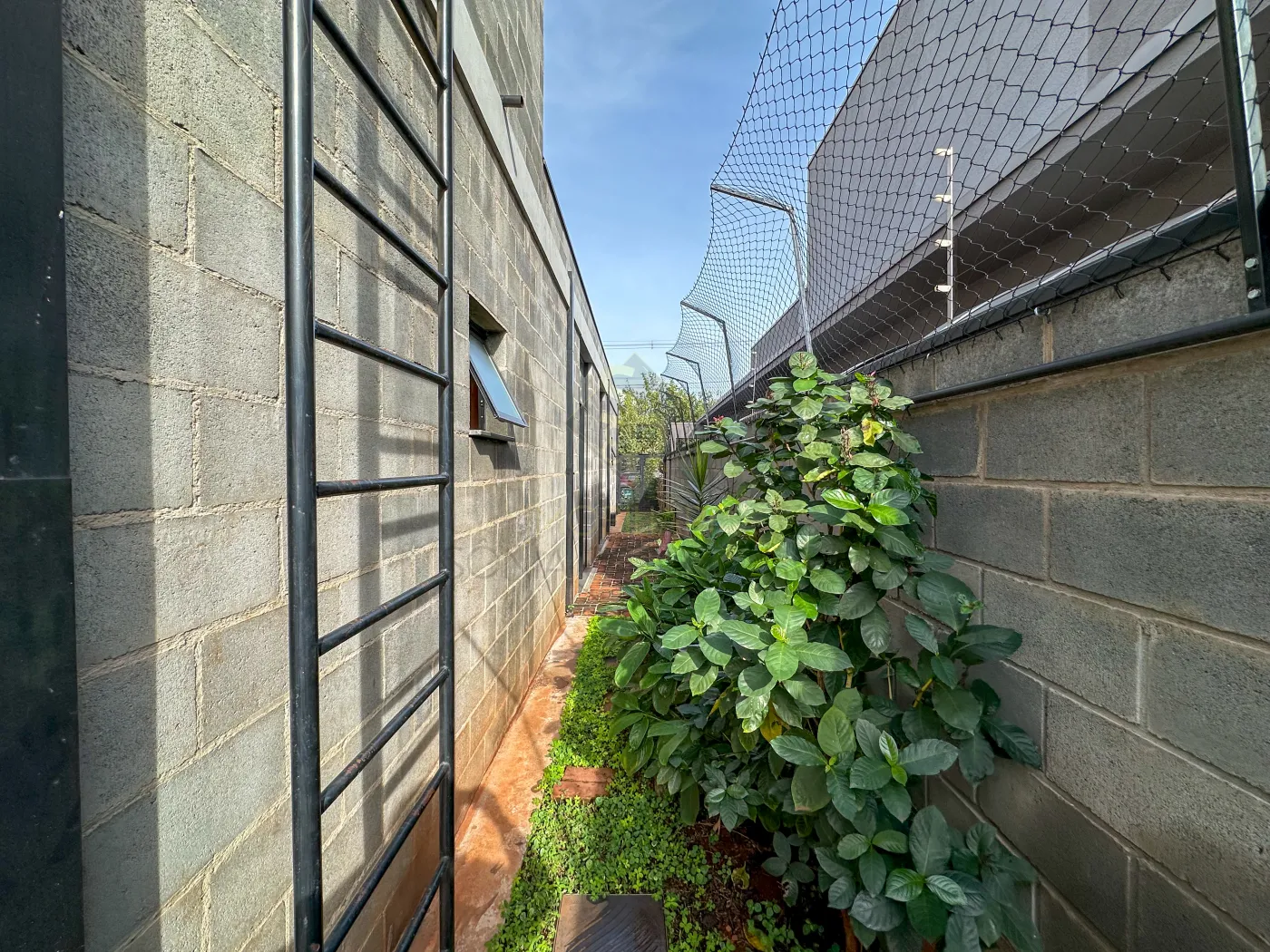 Comprar Casas Residenciais / Condomínio em Ribeirão Preto R$ 1.050.000,00 - Foto 33