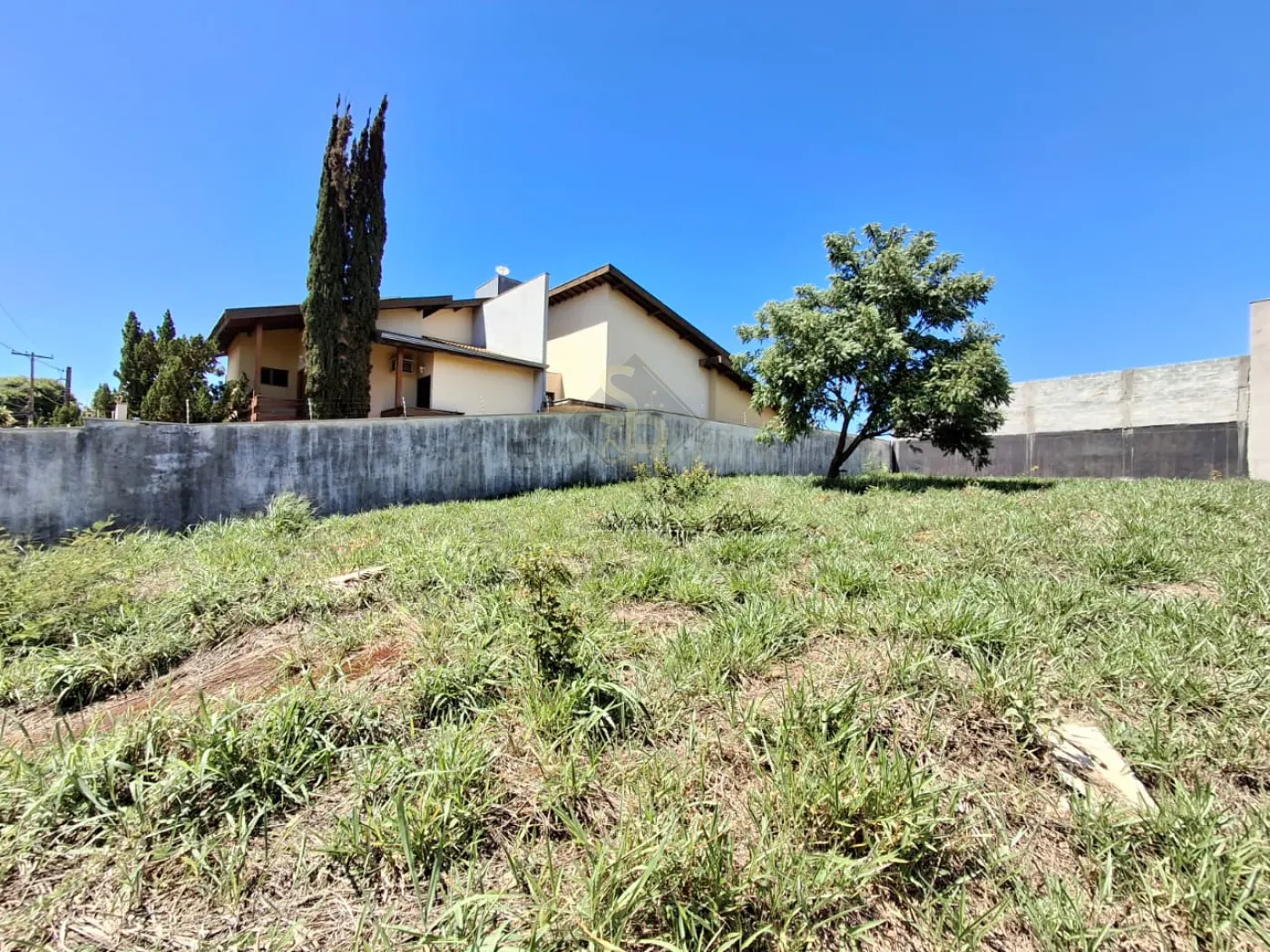Comprar Terrenos / LoteTerreno em Ribeirão Preto R$ 385.000,00 - Foto 2