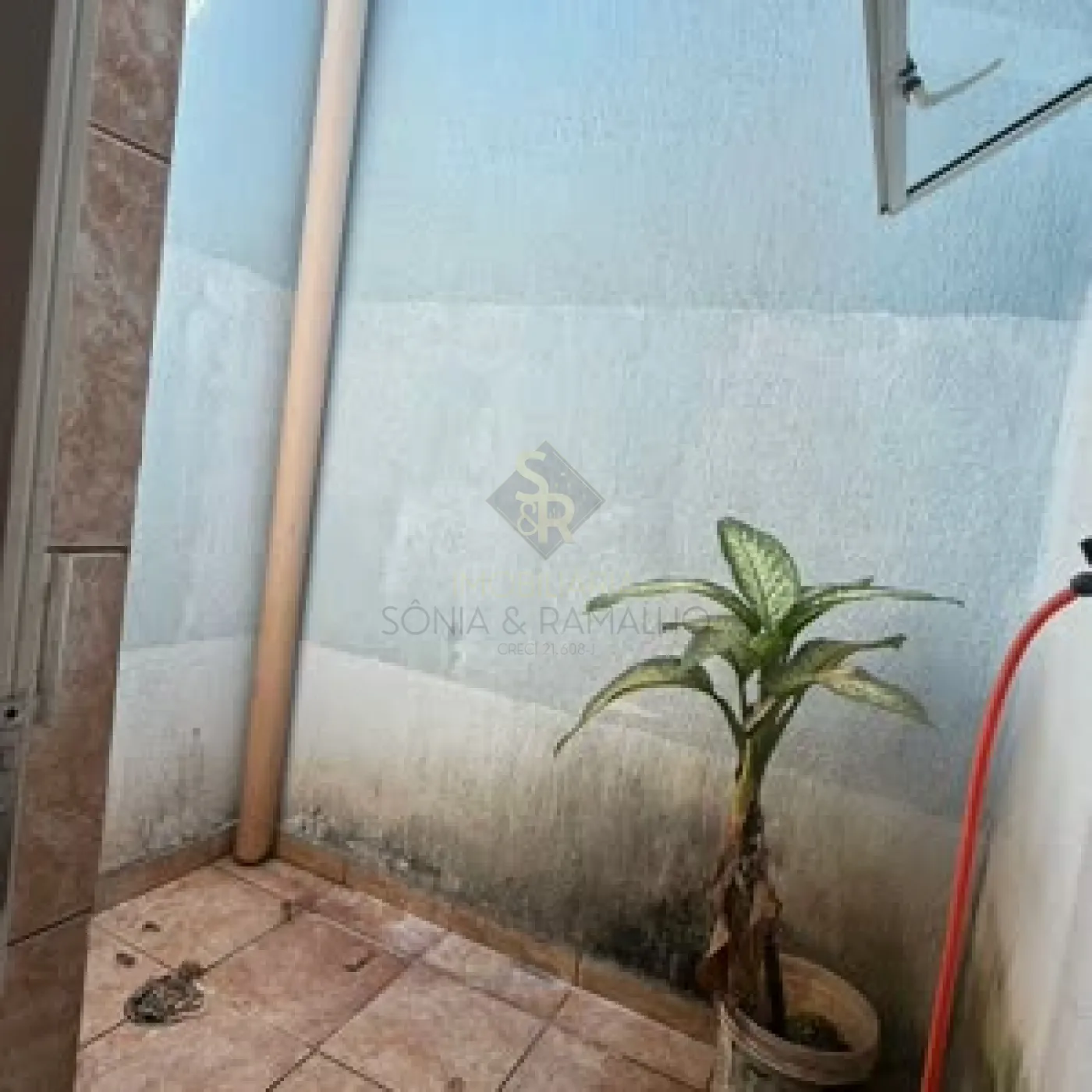 Alugar Casas Residenciais / Padrão em Ribeirão Preto R$ 1.600,00 - Foto 11