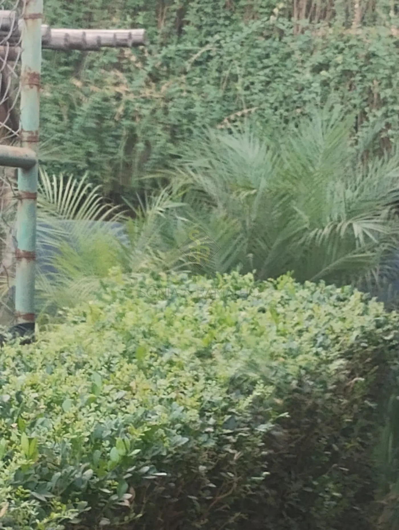 Comprar Apartamentos / Padrão em Ribeirão Preto R$ 145.000,00 - Foto 11