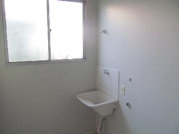 imagem 3 - Apartamentos - Padrão imagem 3 - Apartamentos - Padrão
