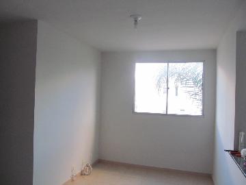 Alugar Apartamentos / Padrão em Ribeirão Preto. apenas R$ 650,00