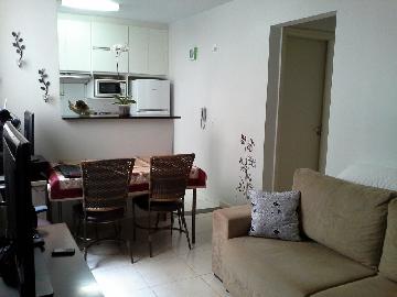imagem 4 - Apartamentos - Padrão imagem 4 - Apartamentos - Padrão