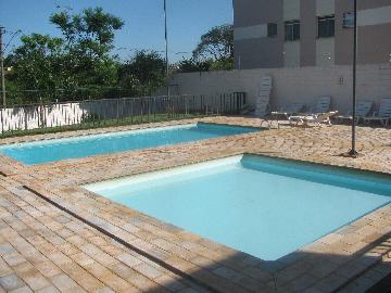 imagem 2 - Apartamentos - Padrão imagem 2 - Apartamentos - Padrão