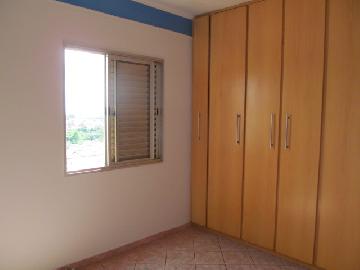 imagem 3 - Apartamentos - Padrão imagem 3 - Apartamentos - Padrão