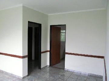 imagem 1 - Apartamento Padrão para Locação no Bairro Vila Monte Alegre, em Ribeirão Preto imagem 1 - Apartamento Padrão para Locação no Bairro Vila Monte Alegre, em Ribeirão Preto