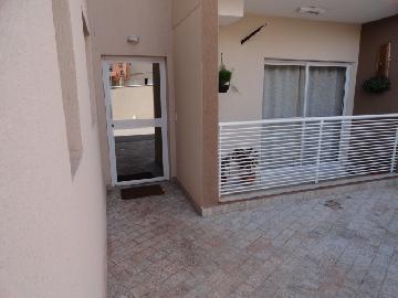 imagem 2 - Apartamentos - Padrão imagem 2 - Apartamentos - Padrão