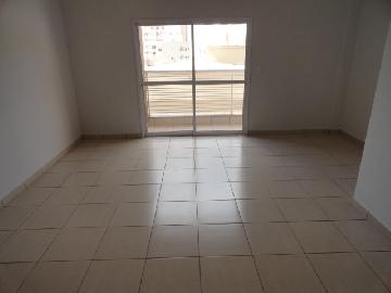 imagem 4 - Apartamentos - Padrão imagem 4 - Apartamentos - Padrão