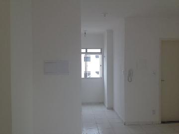 imagem 2 - Apartamentos - Padrão imagem 2 - Apartamentos - Padrão