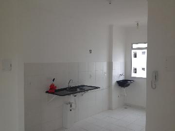 imagem 3 - Apartamentos - Padrão imagem 3 - Apartamentos - Padrão