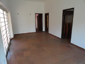 imagem 1 - Casa Padrão para Locação no Bairro Alto da Boa Vista, em Ribeirão Preto imagem 1 - Casa Padrão para Locação no Bairro Alto da Boa Vista, em Ribeirão Preto