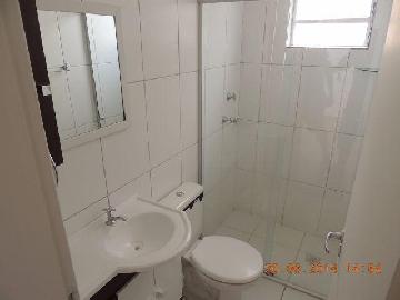 imagem 2 - Apartamentos - Padrão imagem 2 - Apartamentos - Padrão