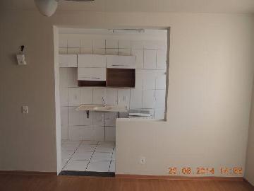 imagem 4 - Apartamentos - Padrão imagem 4 - Apartamentos - Padrão