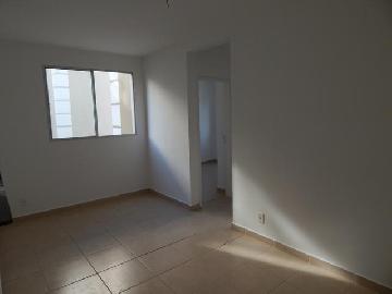 Alugar Apartamentos / Padrão em Ribeirão Preto. apenas R$ 156.000,00