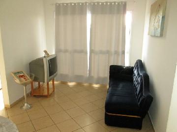 imagem 1 - Apartamentos - Padrão imagem 1 - Apartamentos - Padrão
