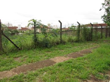 imagem 3 - Terrenos - LoteTerreno imagem 3 - Terrenos - LoteTerreno