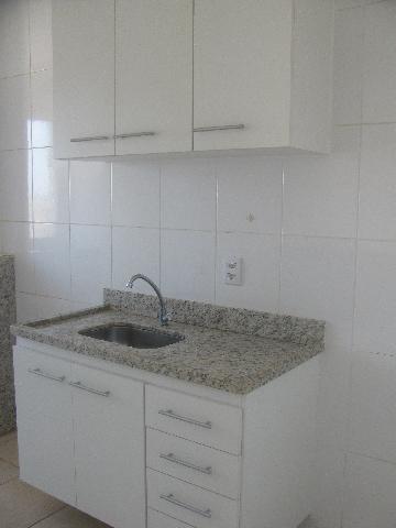 imagem 3 - Apartamentos - Padrão imagem 3 - Apartamentos - Padrão