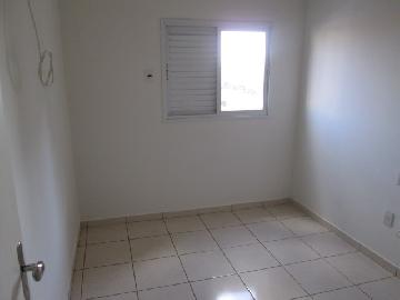 imagem 5 - Apartamentos - Cobertura imagem 5 - Apartamentos - Cobertura