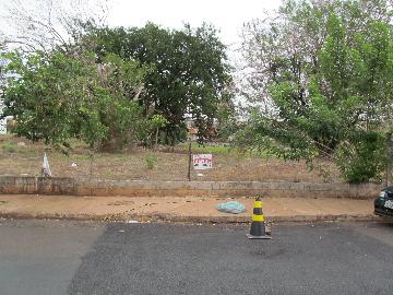 imagem 1 - Terrenos - LoteTerreno imagem 1 - Terrenos - LoteTerreno