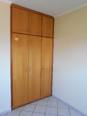 imagem 5 - Apartamentos - Padrão imagem 5 - Apartamentos - Padrão