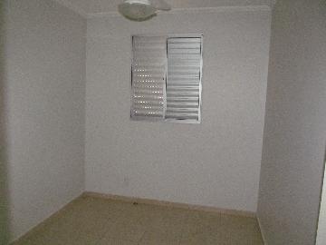 imagem 3 - Apartamentos - Padrão imagem 3 - Apartamentos - Padrão