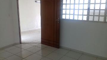 imagem 3 - Casa Padrão para Locação no Bairro Residencial e Comercial Palmares, em Ribeirão Preto. imagem 3 - Casa Padrão para Locação no Bairro Residencial e Comercial Palmares, em Ribeirão Preto.
