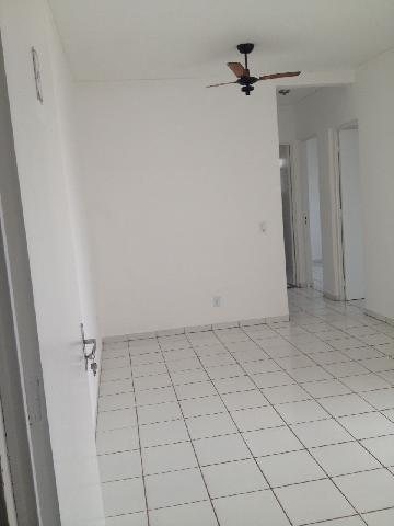 imagem 1 - Apartamentos - Padrão imagem 1 - Apartamentos - Padrão
