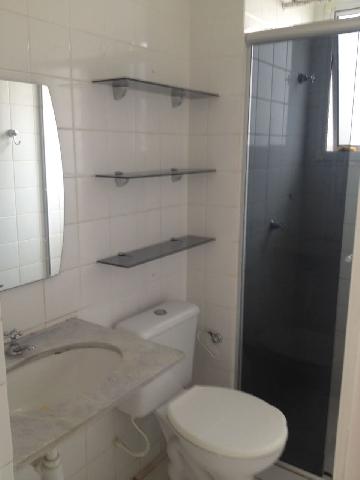 imagem 3 - Apartamentos - Padrão imagem 3 - Apartamentos - Padrão