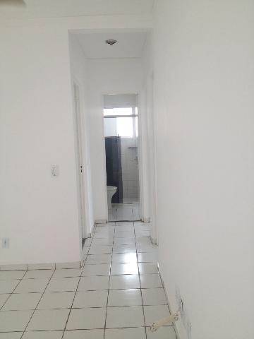 imagem 5 - Apartamentos - Padrão imagem 5 - Apartamentos - Padrão
